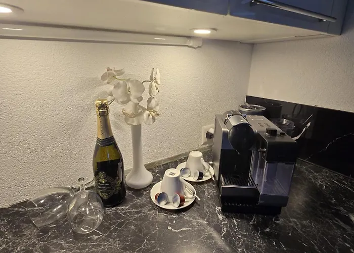 Apartment Exklusives 3 Ca 7 Min Fussweg Zum Wef Kongresszentrum